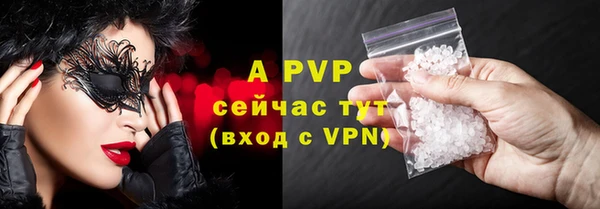PSILOCYBIN Новокубанск