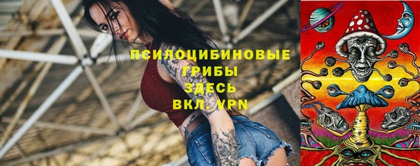 мяу мяу мука Новозыбков