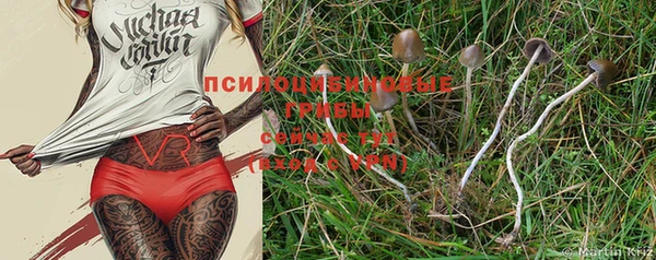спайс Новодвинск