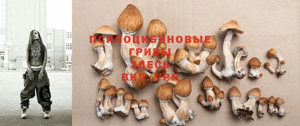 мяу мяу мука Новозыбков