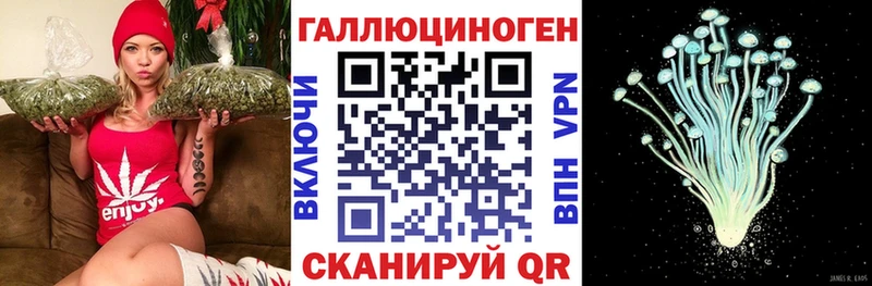 Купить закладки  Катав-Ивановск  Псилоцибиновые грибы GOLDEN TEACHER 
